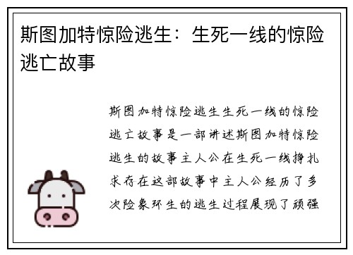 斯图加特惊险逃生：生死一线的惊险逃亡故事